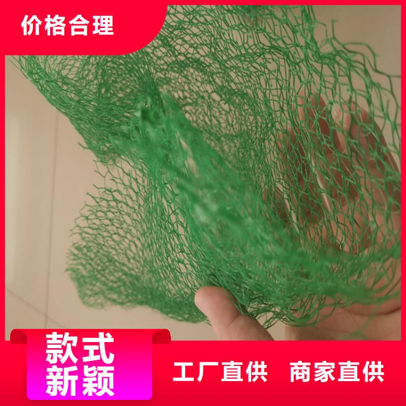 三维植被网通风降噪丝网品质优良本地生产商