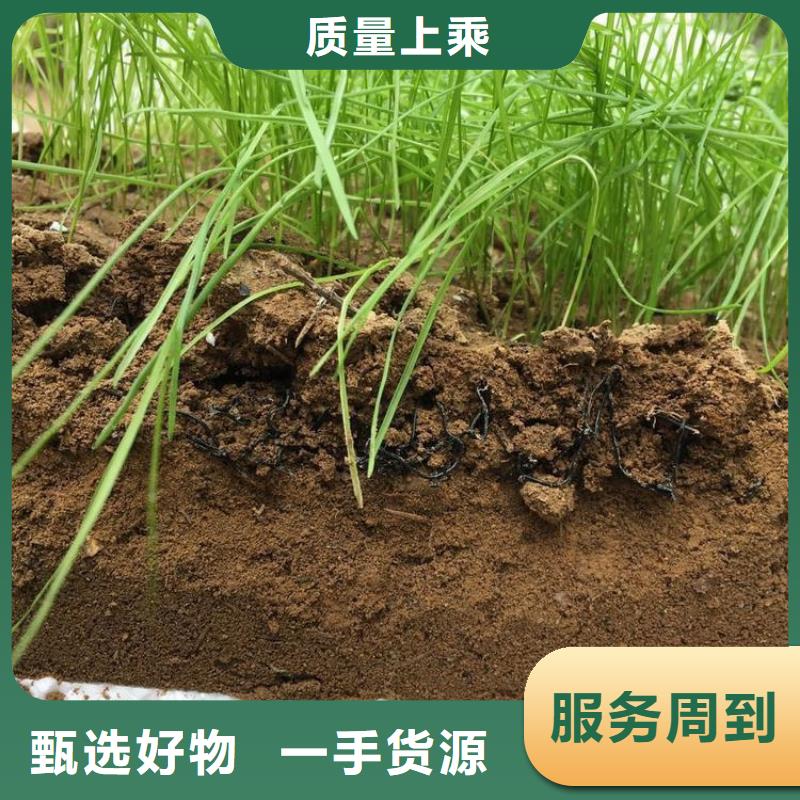 水土保护毯【植草格】支持定制贴心售后[本地]厂家