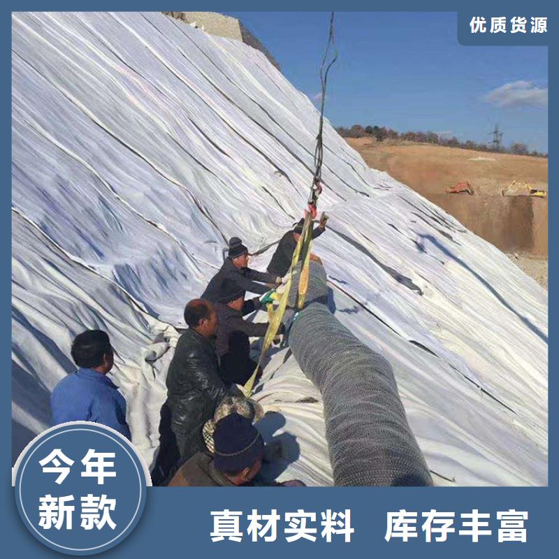 膨润土防水毯土工格栅免费寄样源头直供