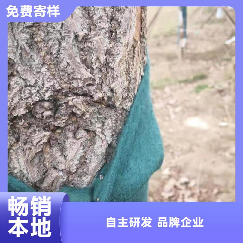 裹树布【防水膜】细节决定成败本地服务商