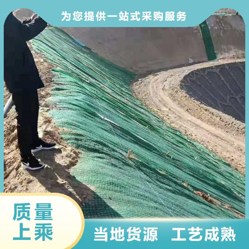 椰丝毯【单向塑料土工格栅】源头实体厂商本地天博体育网页版登陆链接