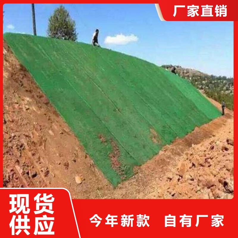 三维植被网矿用阻燃网一站式采购商当地供应商