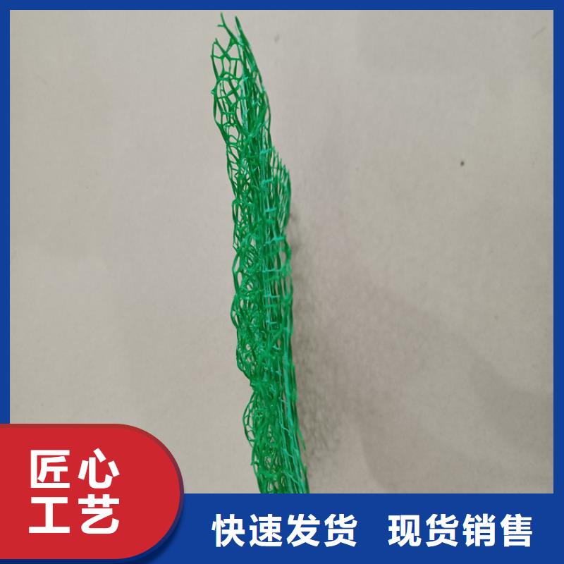 【三维植被网】土工格栅海量现货直销追求品质