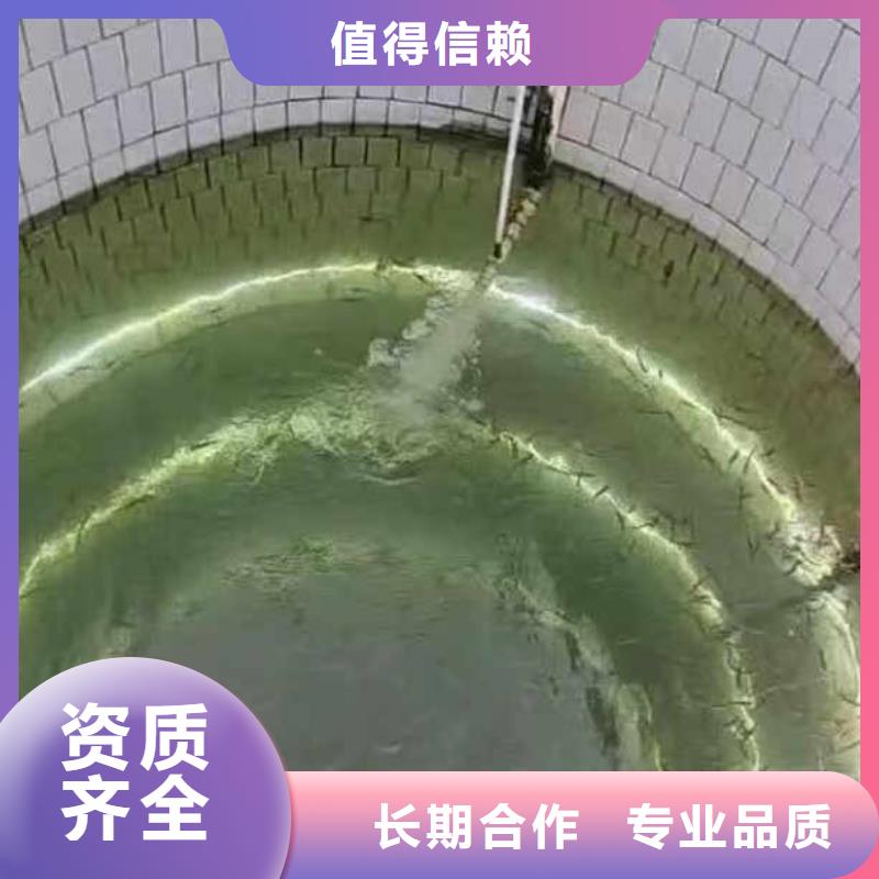 -水下加固码头桩-量大从优-挖呀挖呀挖实力强有保证