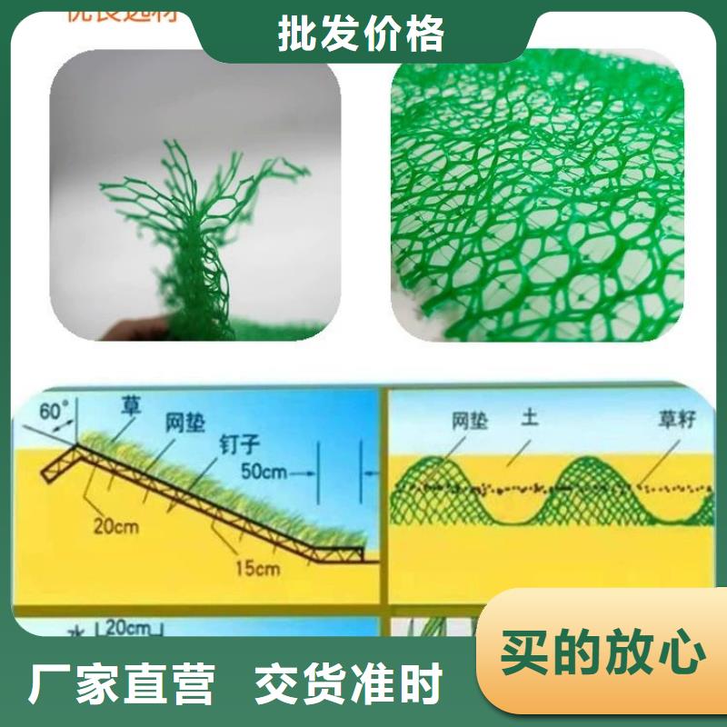 【三维植被网】,聚丙烯纤维天博体育网页版登陆链接自有厂家附近品牌