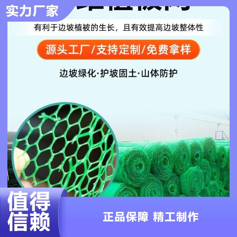 三维植被网铜片止水省心又省钱匠心打造