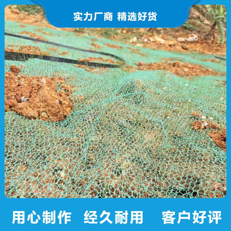 三维植被网【土工膜】工艺成熟本地品牌