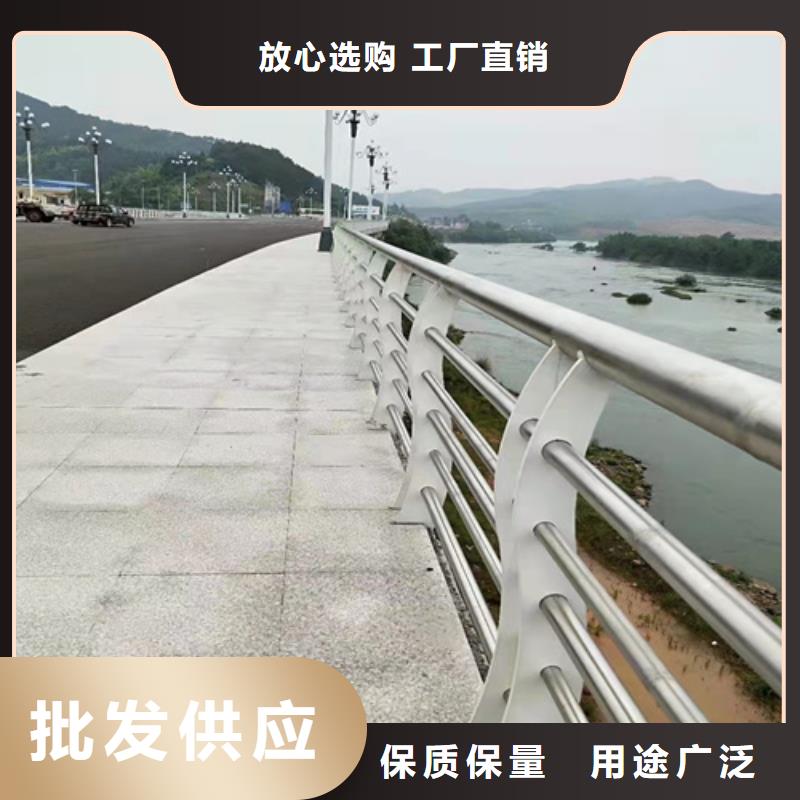 【桥梁护栏_道路护栏买的放心】当地公司