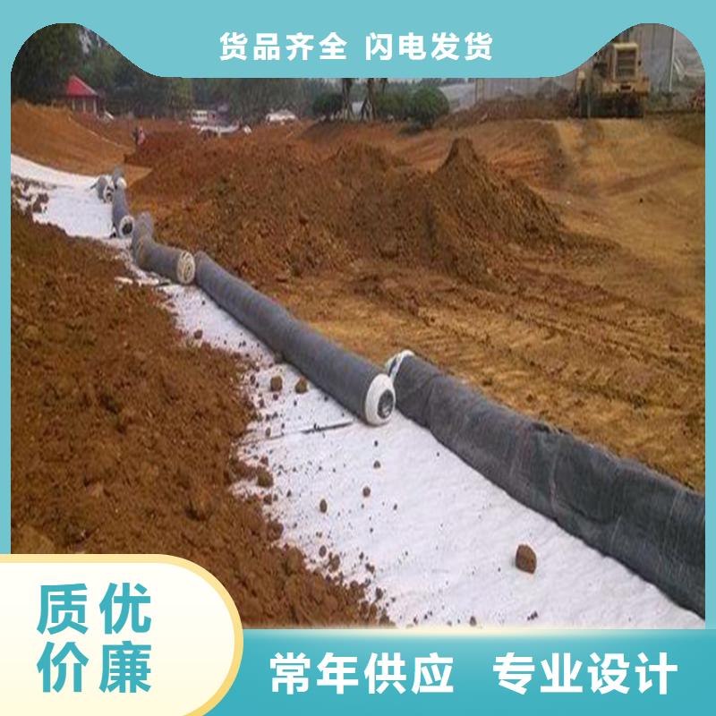 【膨润土防水毯】土工网垫优质工艺快速发货