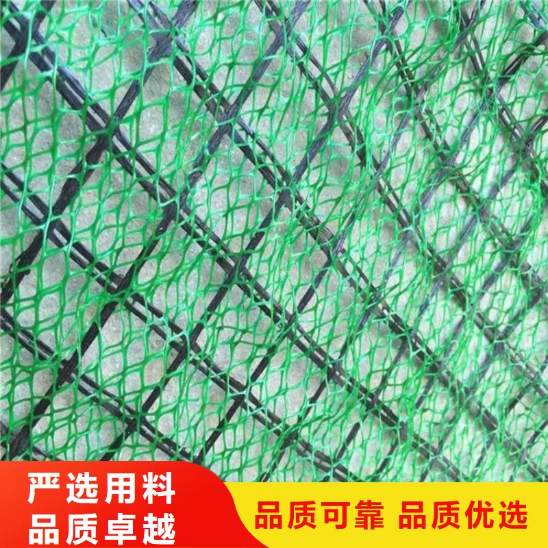 三维植被网_土工材料源头厂家经验丰富[本地]公司