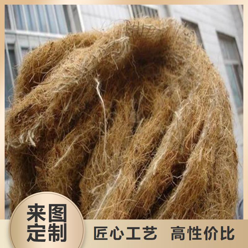 植物生态防护毯现货充足