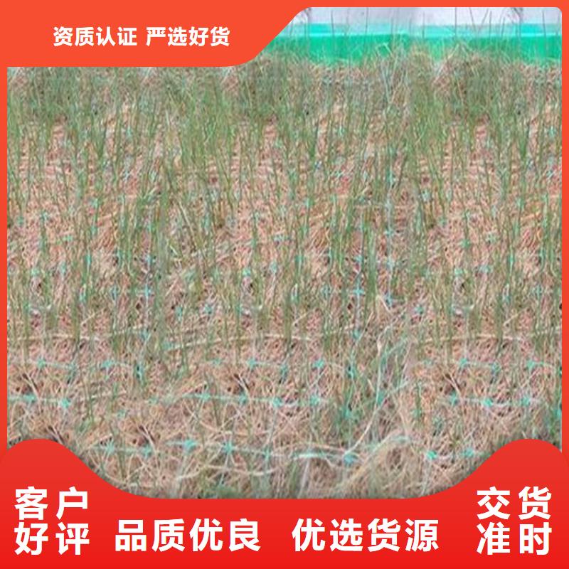 植生椰丝毯厂家代理价格实惠工厂直供