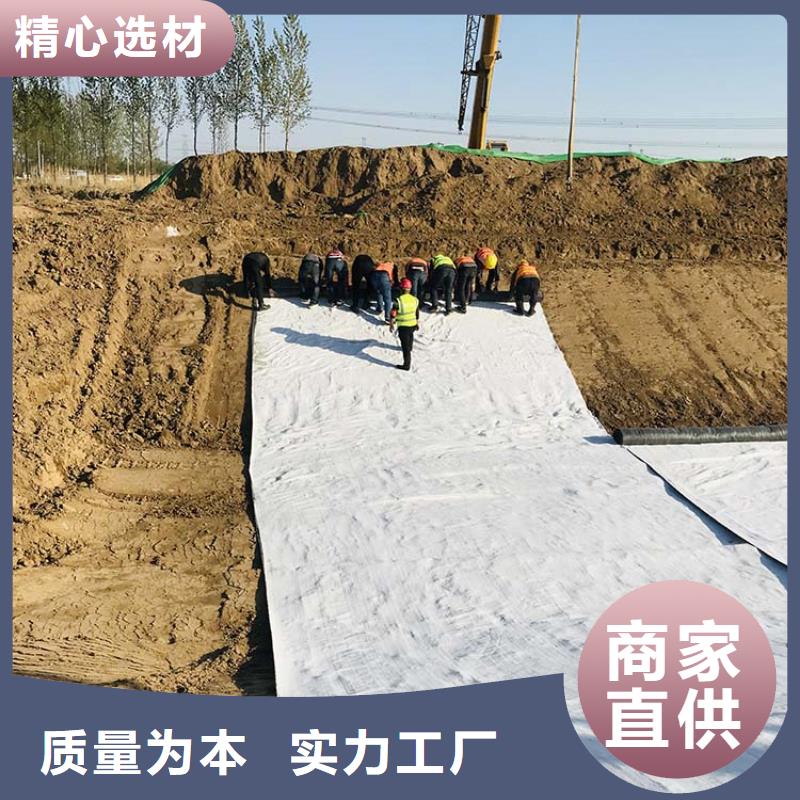 【膨润土防水毯-涤纶格栅老品牌厂家】匠心工艺