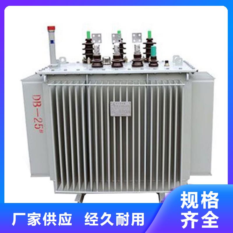 良心厂家S20-500KVA/10KV/0.4KV油浸式变压器为您提供一站式采购服务