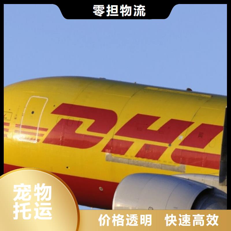 北京 DHL快递（2023已更新）