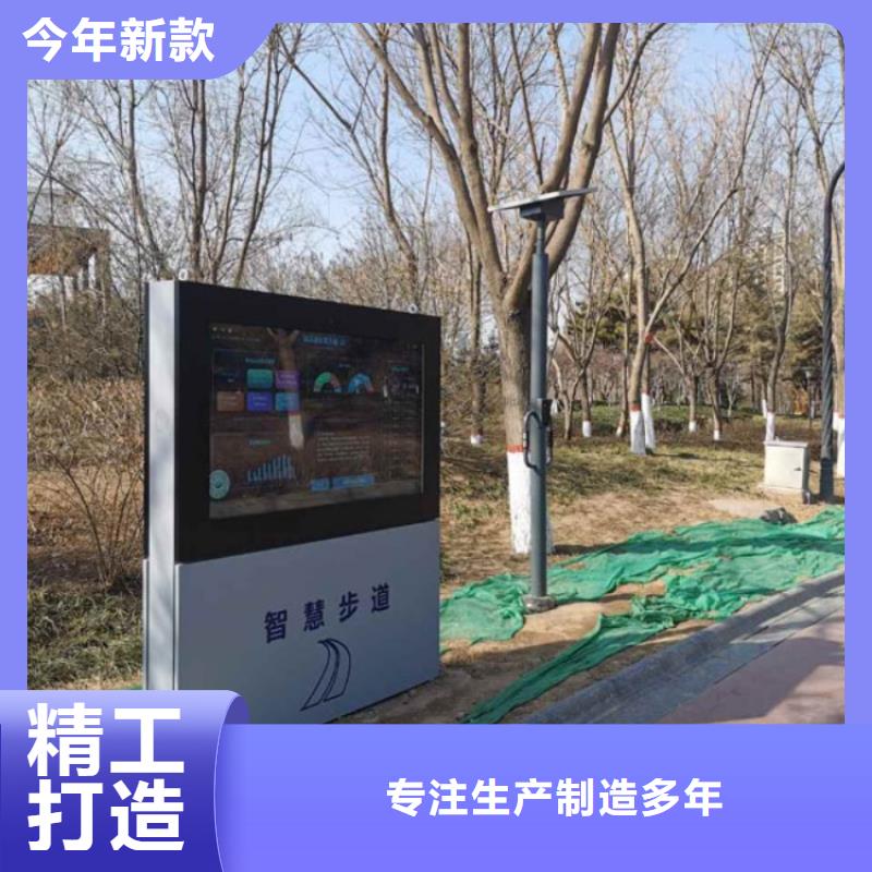 智能跑道价格（维艾狄尔）当日价格