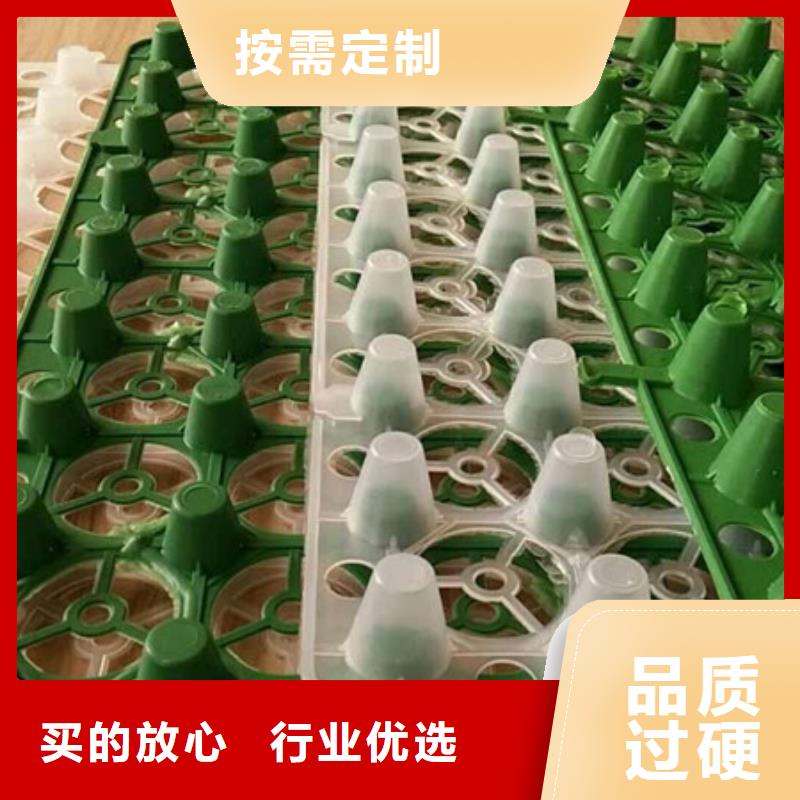 塑料排水板作用#厂家包施工质量好