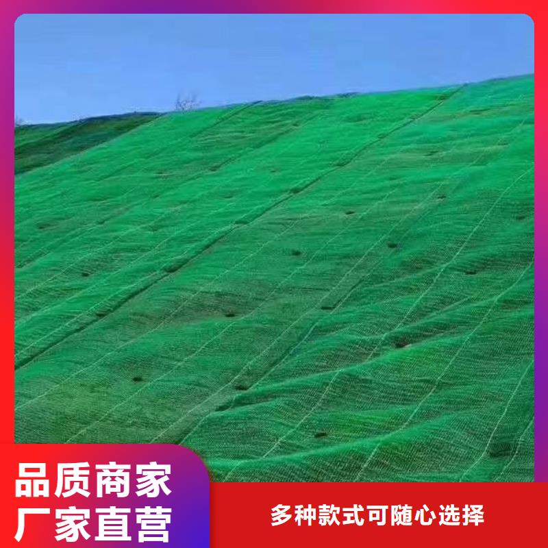 三维植被网防护虹吸排水收集系统售后无忧品质优选