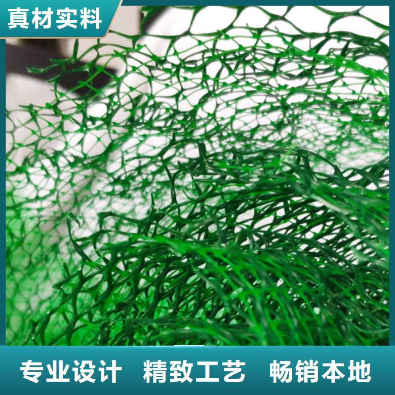 三维植被网植草格品质有保障附近供应商