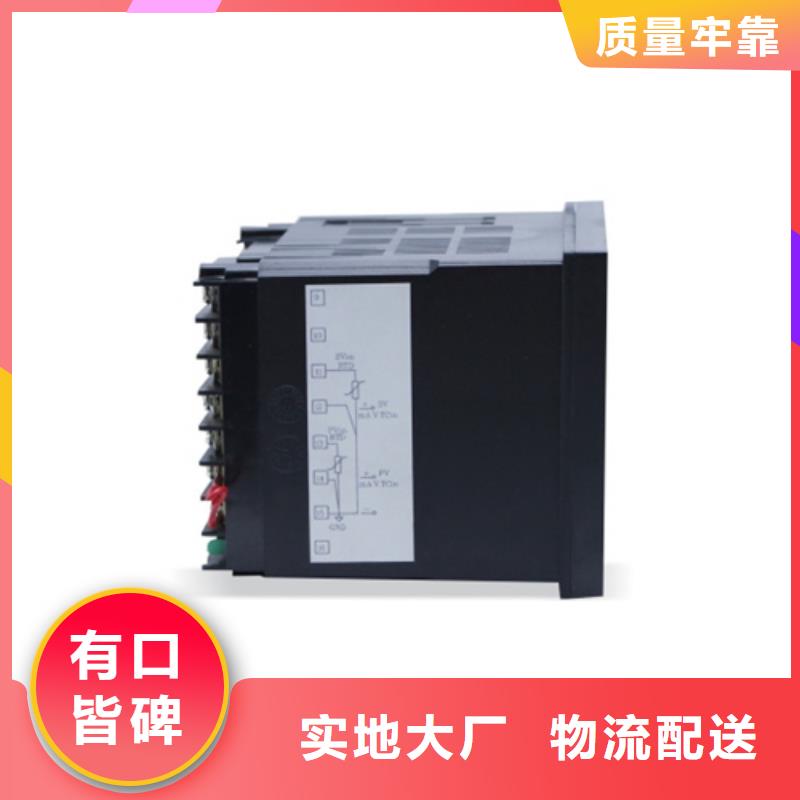 定做SWP-ASR308-2-1/AO4的厂家打造行业品质