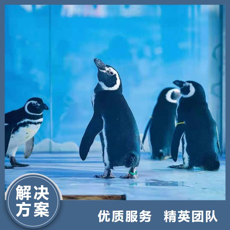 海洋生物鱼缸展租赁主题展览信誉良好