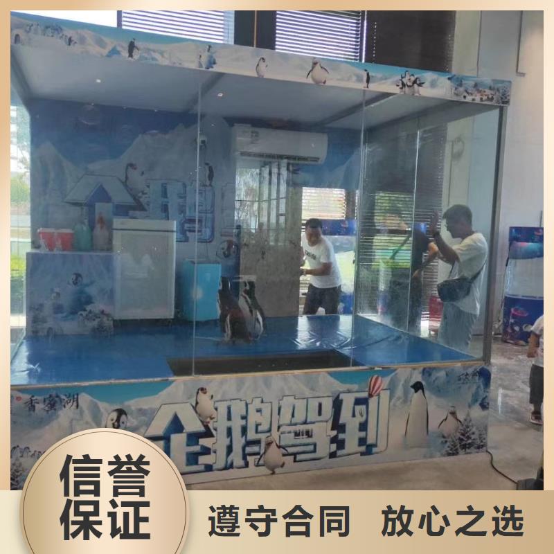 海洋生物展租赁节日活动同城经销商