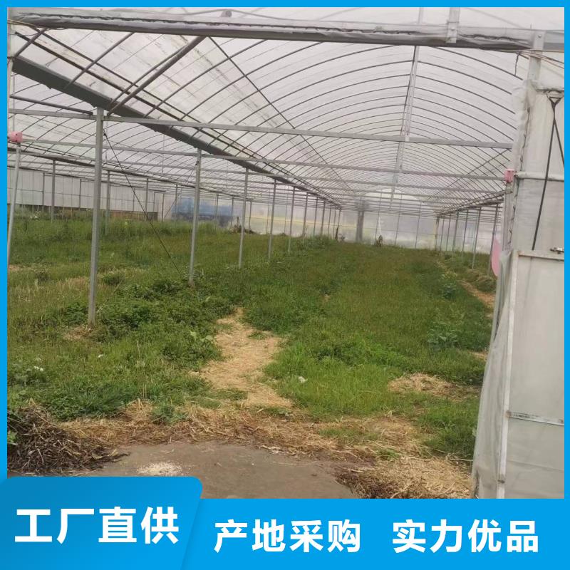 广东省汕头关埠镇GP825蔬菜大棚管按需定制专注产品质量与服务