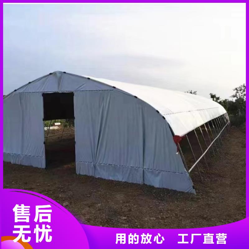 连栋温室大棚生产基地2024--09精心推荐