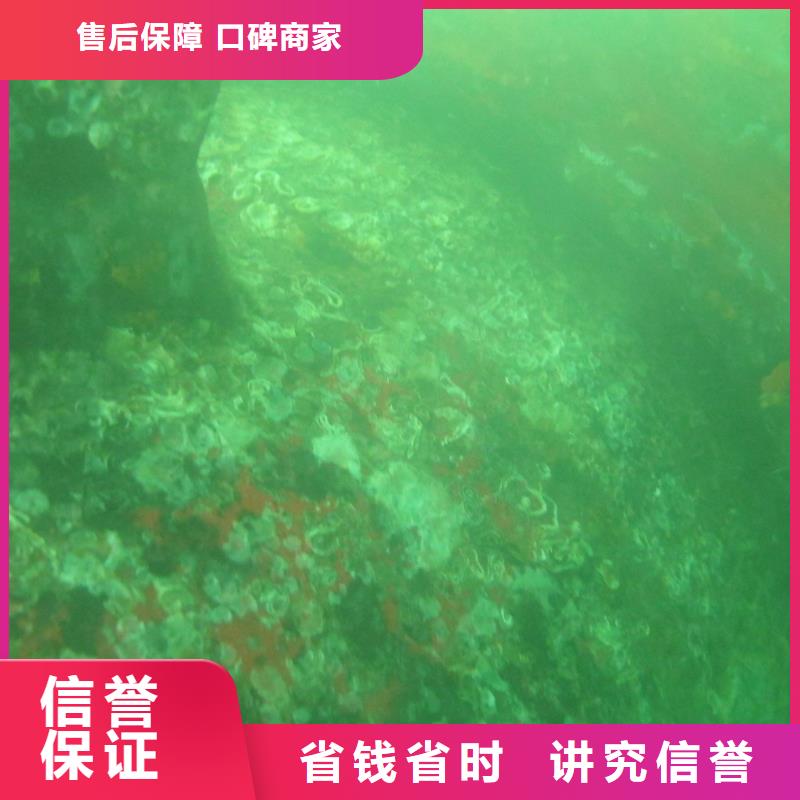 桥梁检测欢迎来电当地制造商