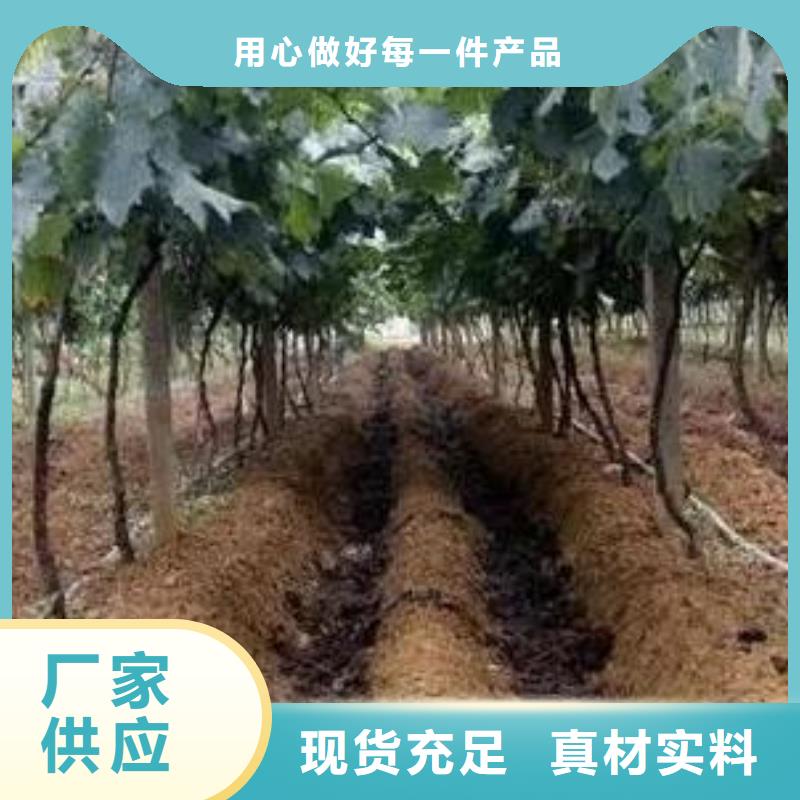 新河发酵鸡粪破除土壤板结好当地公司