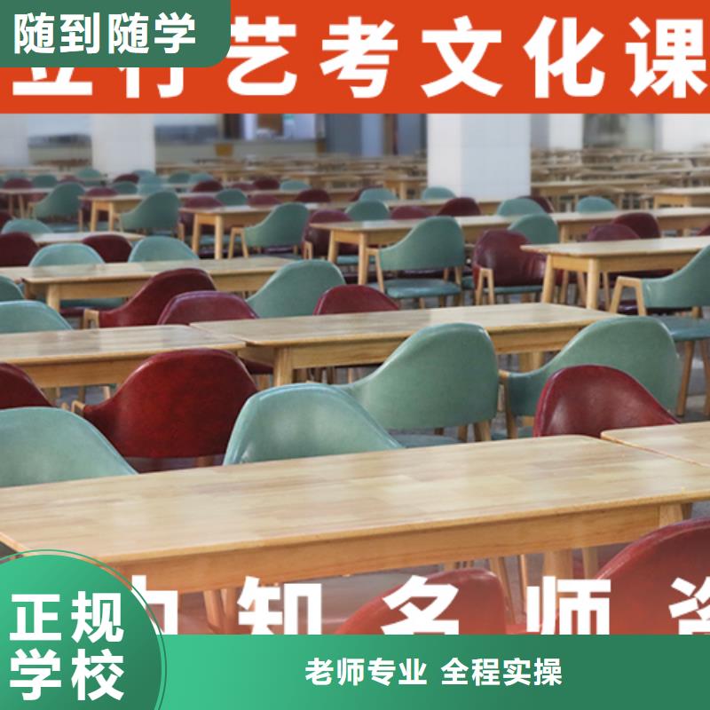 哪家本科率高艺术生文化课补习学校手把手教学