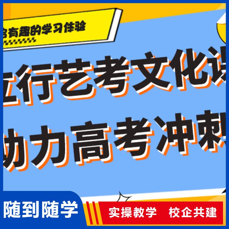 预算不高，艺考文化课补习机构哪个好？老师专业