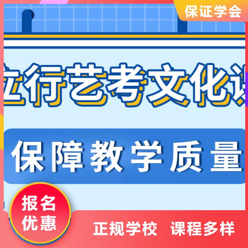 艺术生文化课艺考生一对一补习保证学会学真技术