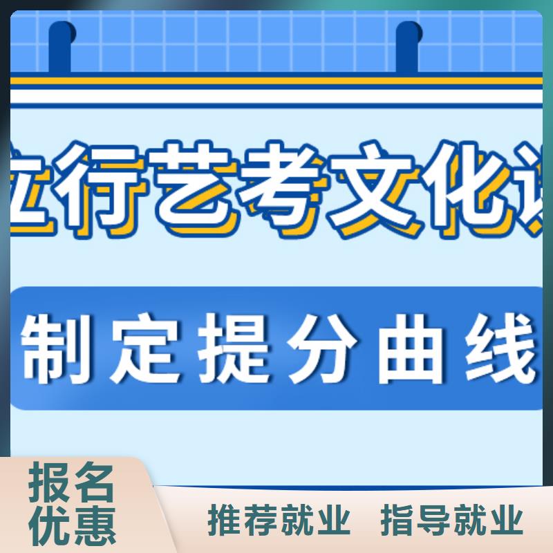 艺术生文化课高三复读辅导老师专业课程多样