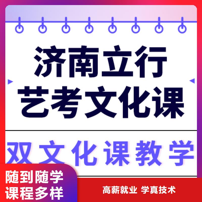 艺术生文化课艺考一对一教学报名优惠师资力量强