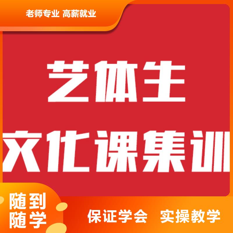 艺考文化课冲刺口碑好不好指导就业