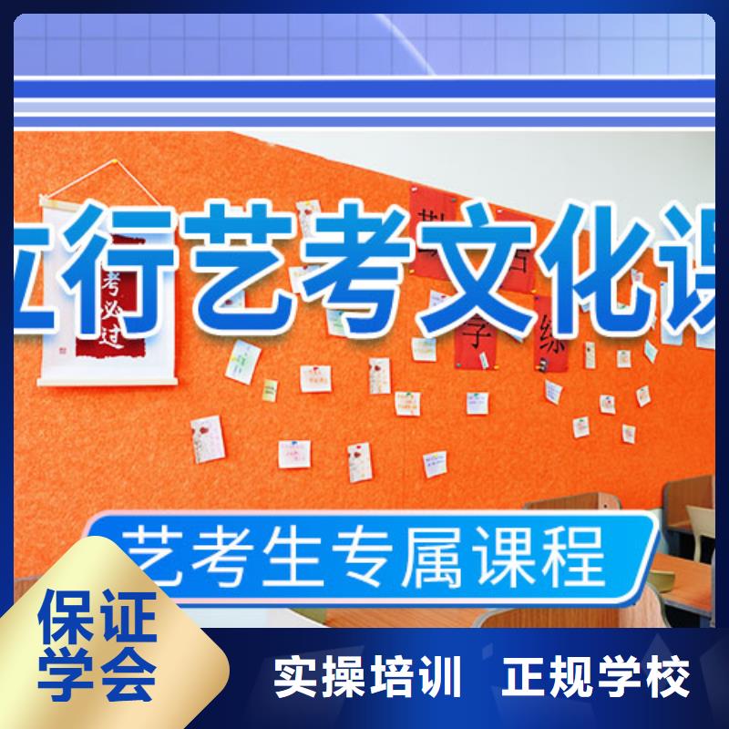 艺考文化课补习艺考文化课冲刺手把手教学老师专业