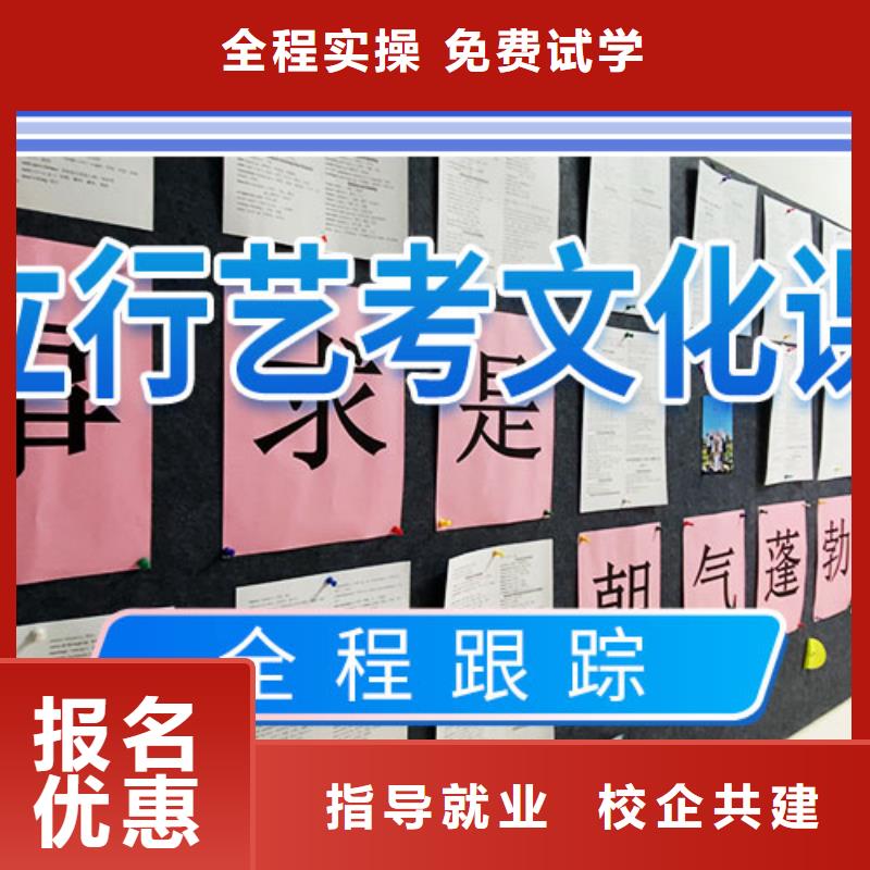 【艺考文化课补习高考复读周日班学真技术】课程多样