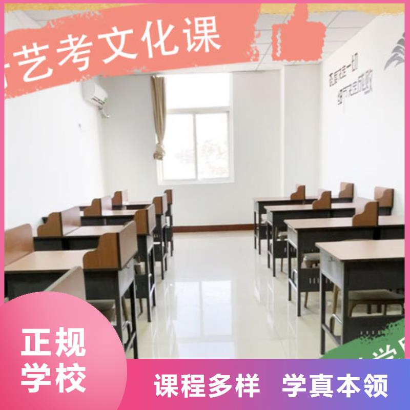 艺术生文化课培训学校哪里好当地经销商