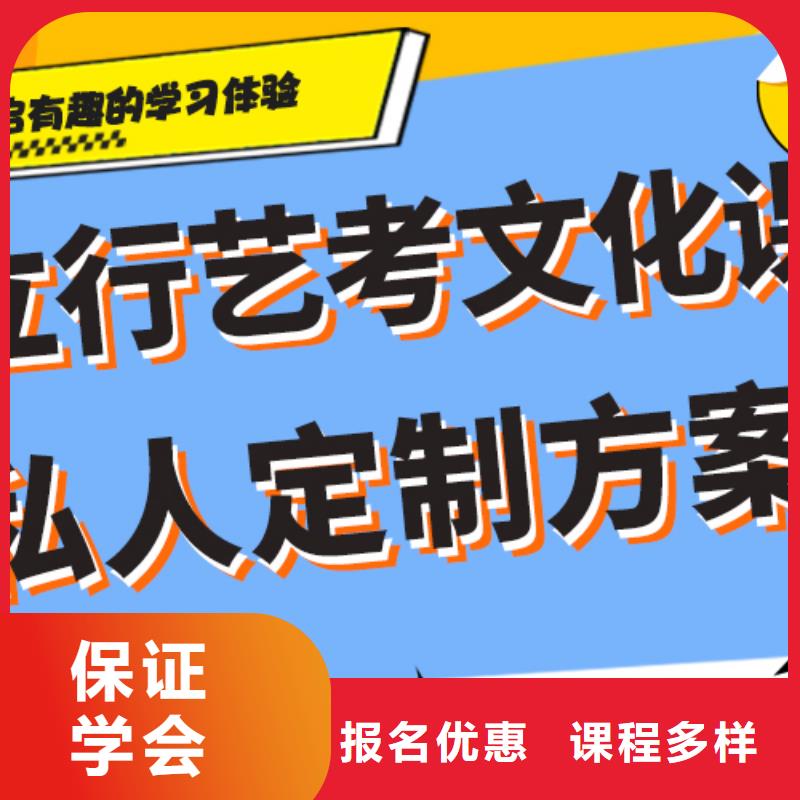 艺术生文化课培训学校哪里好定制专属课程手把手教学