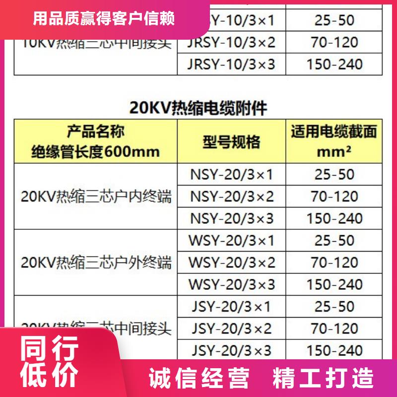 WSZ-10/3.1三芯油浸户外终端头价格实惠工厂直供