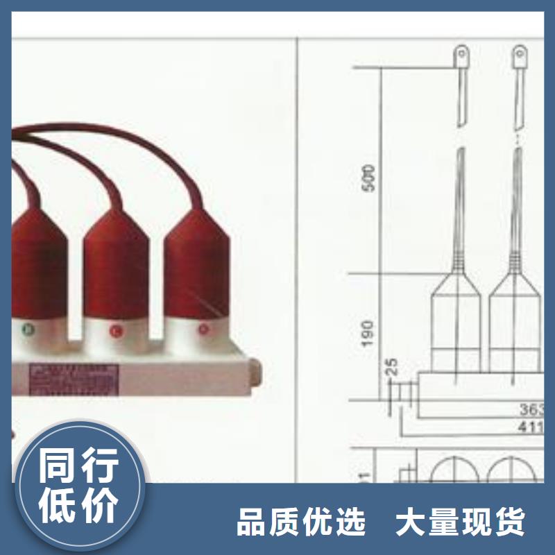 TBP-A-7.6-F/120中性点组合式避雷器制造生产销售