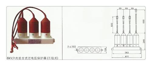 TBP-B-42F组合式保护器【当地】品牌