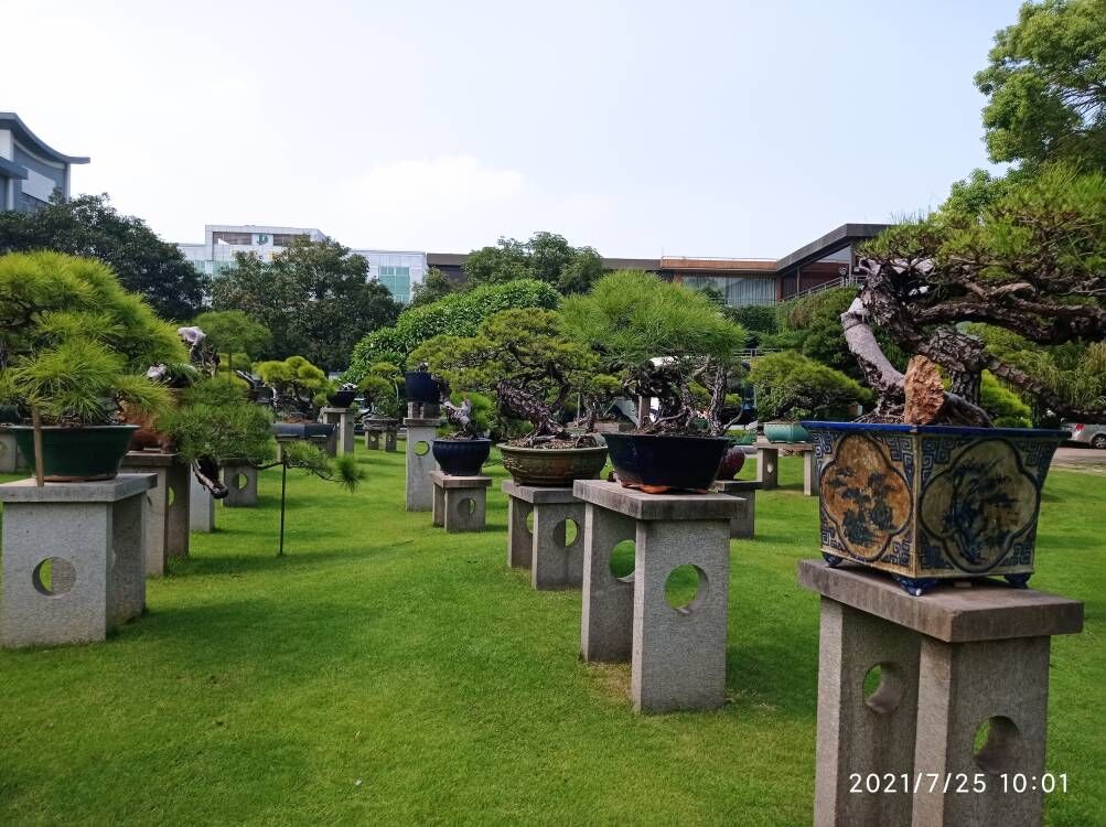 软基道路固化淤泥原位土壤固化商家【本地】经销商