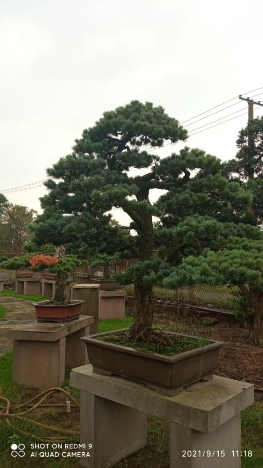 土壤固化剂【钻井废泥浆固化剂】源厂直销