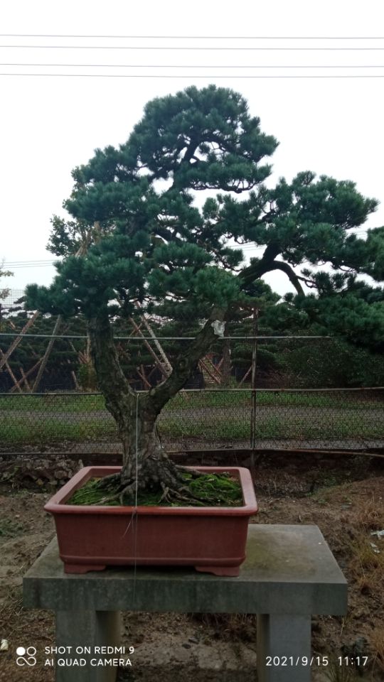 土壤固化剂【生物酶土壤固化剂】快捷的物流配送