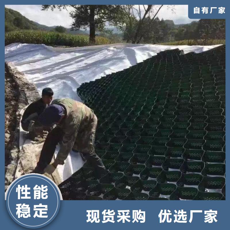 增强型蜂巢格室免费询价