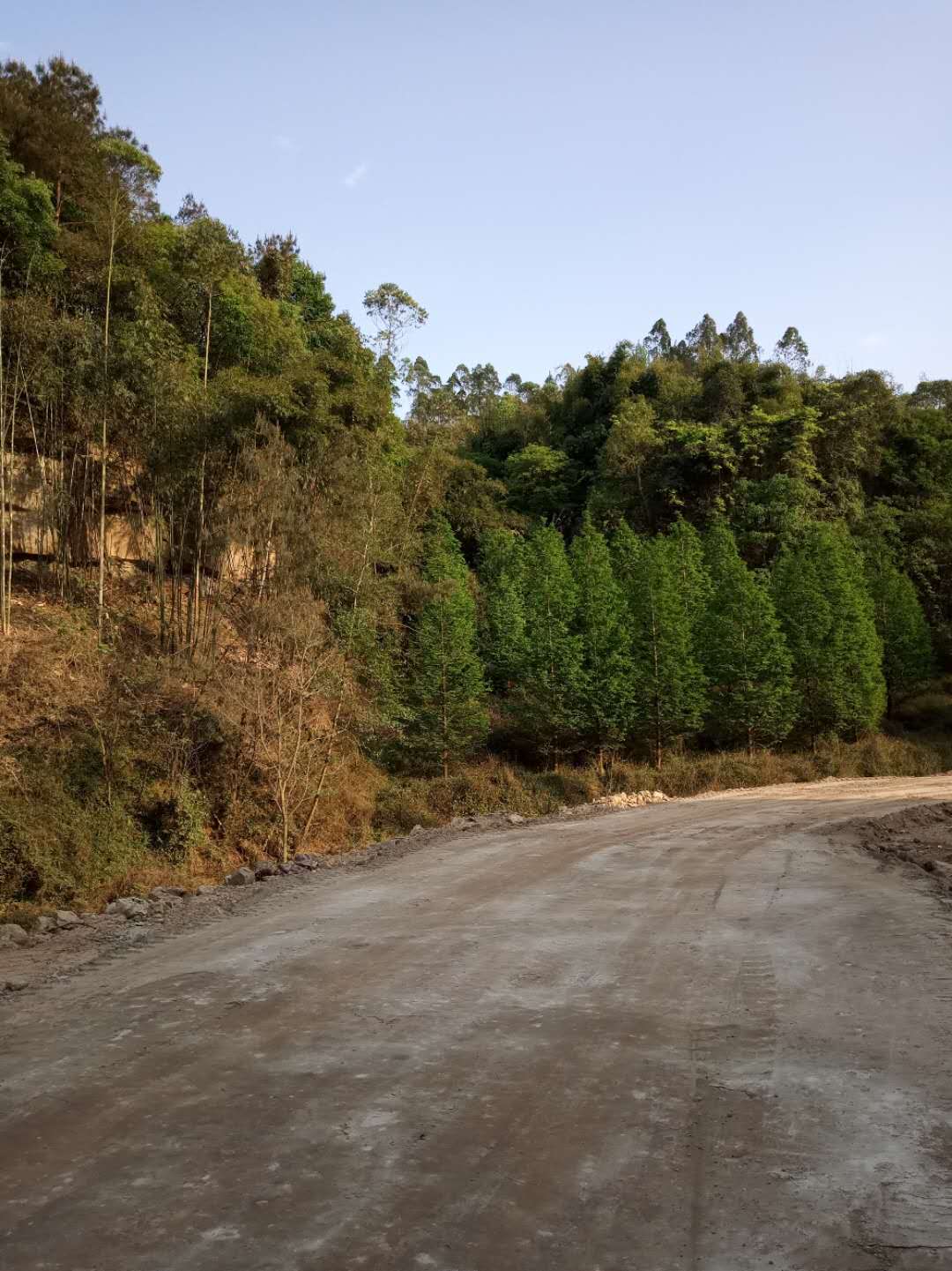 淤泥就地固化剂软基道路固化精华